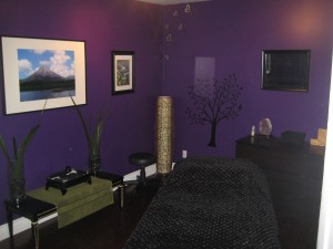 nature's essence massage therapy room