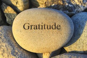 gratitude-day-20-1
