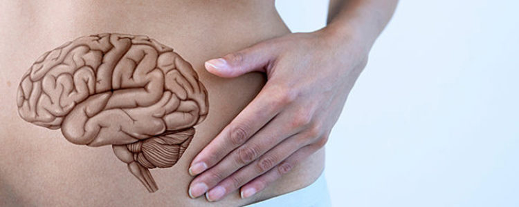 The Gut-Brain Connection: How to Feed Your Brain