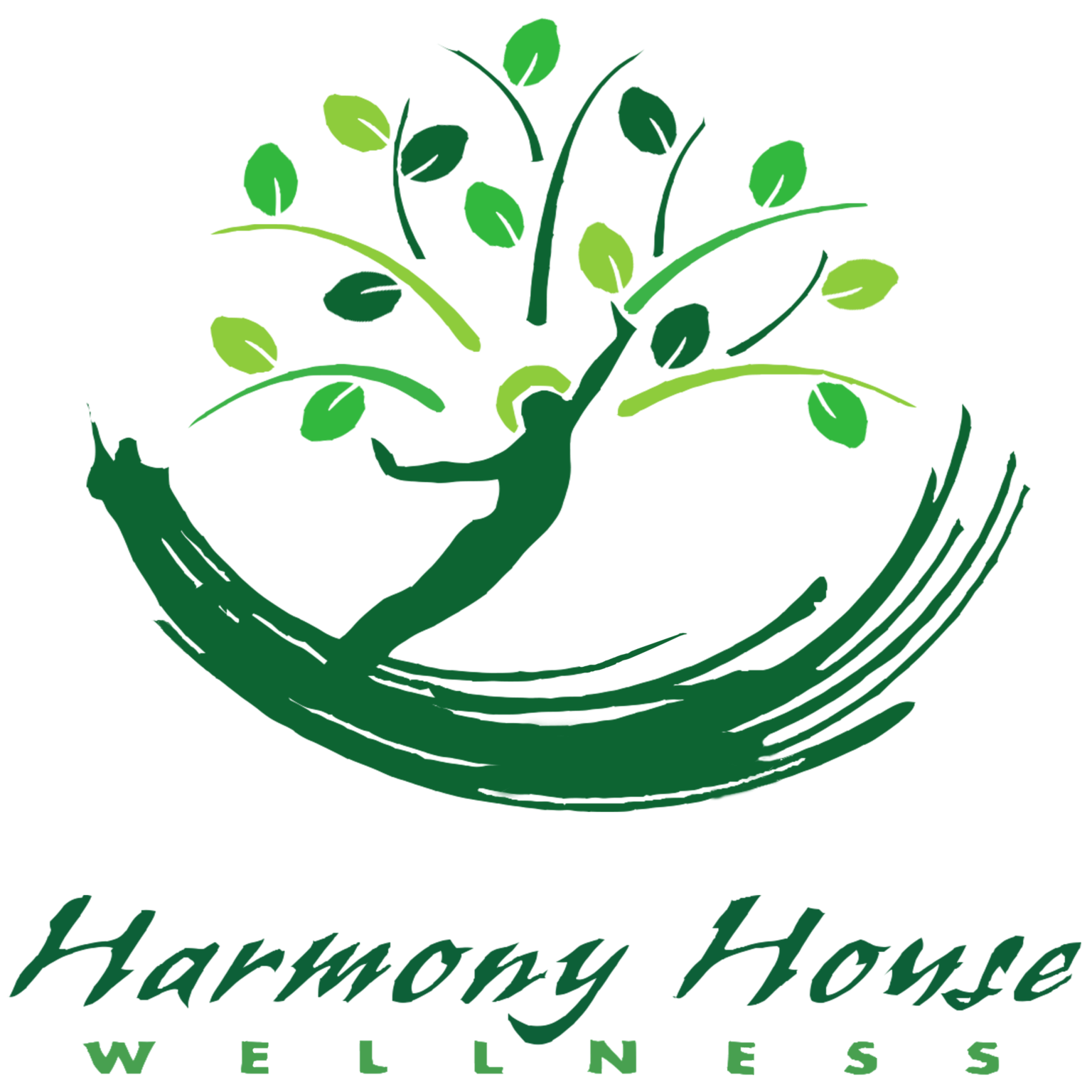 6 Key Foods to Help Reduce Inflammation Harmony House Wellness